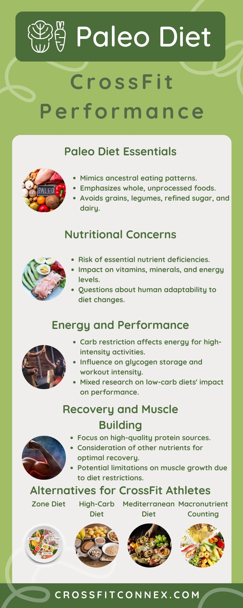 Paleo Diet Infographic