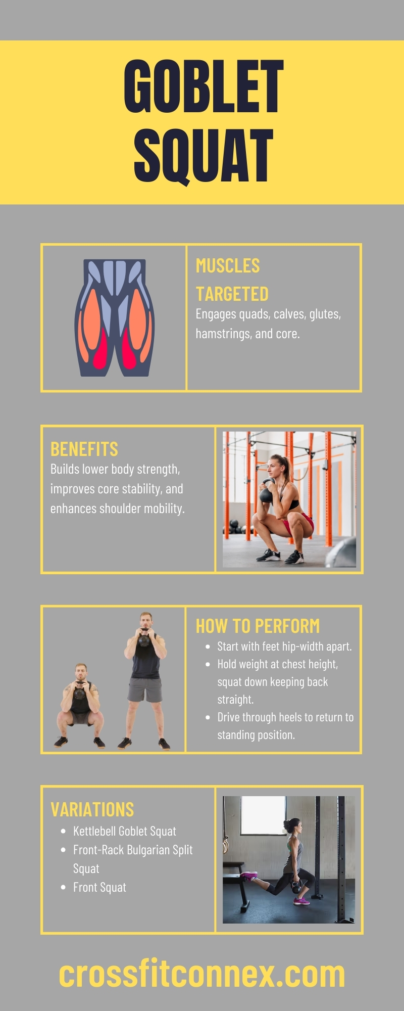 Goblet Squat Infographic